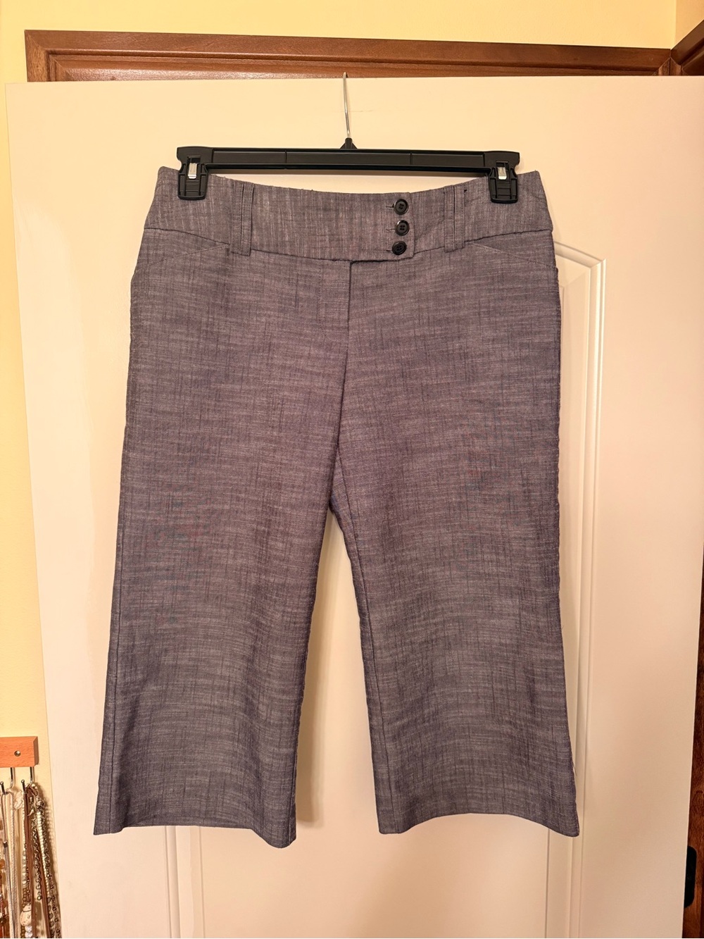 Tracy Evans limited Women's Cropped/ capri business casual Pants size 9 Gray